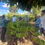 Workshop discute qualificação sustentável do café de Rondônia