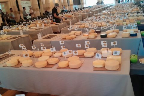 Técnicos da Emater-RO participam como jurados no maior concurso de queijos da América Latina