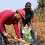 Enfrentando a Crise Hídrica: Emater-RO Capacita Produtores de Leite para enfrentar Estiagem com Subprodutos da Mandioca na Alimentação de Bovinos