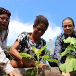 Emater-RO completa 53 anos cumprindo seu papel de excelência no desenvolvimento da agricultura familiar de Rondônia