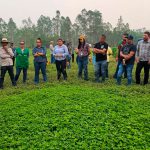 Extensionistas de Rondônia conhecem  técnica de manejo pecuário  no estado do Acre