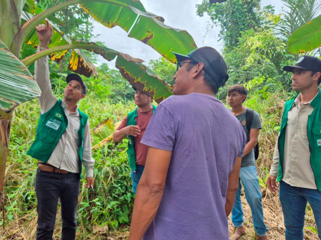 Ater Indígena: Emater-RO apoia povos indígenas no fortalecimento da agricultura familiar em Rondônia